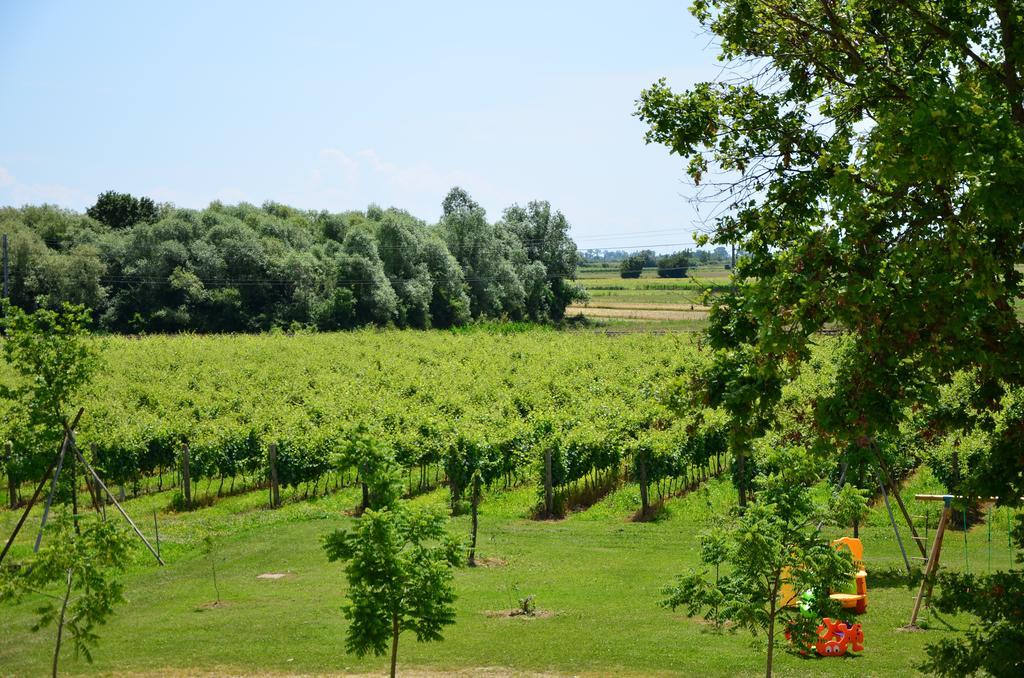 La Di Anselmi Villa Palazzolo dello Stella Kamer foto