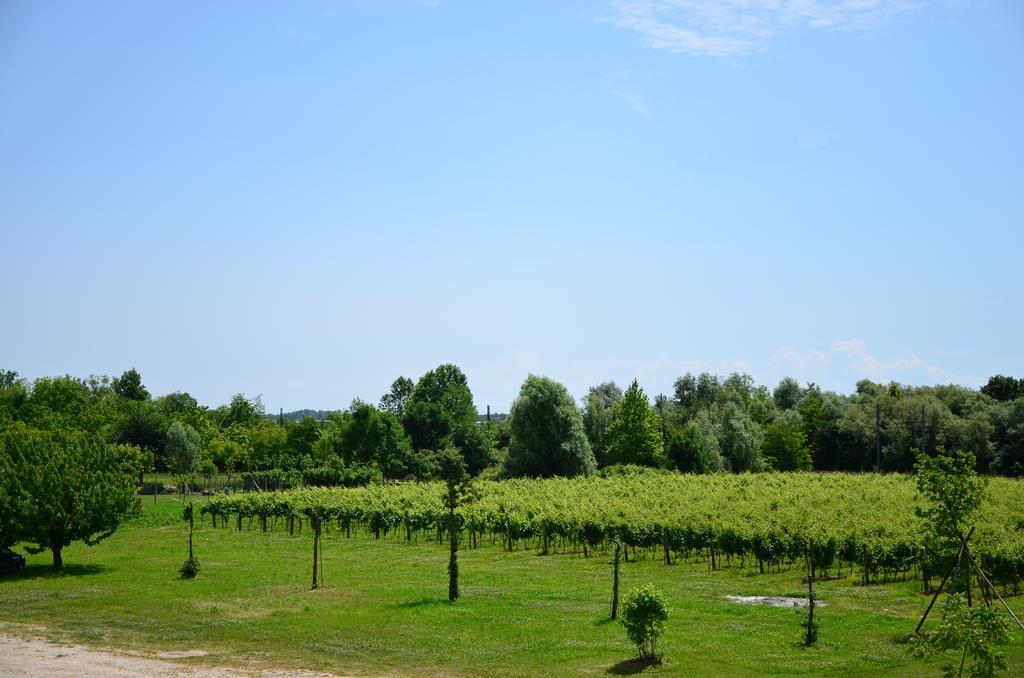 La Di Anselmi Villa Palazzolo dello Stella Kamer foto